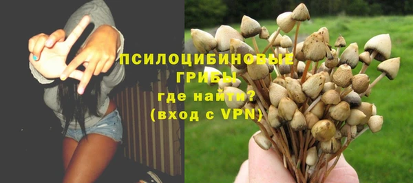 индика Абинск