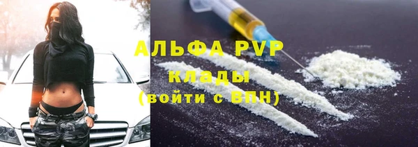 индика Абинск