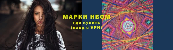 гашик Пестово