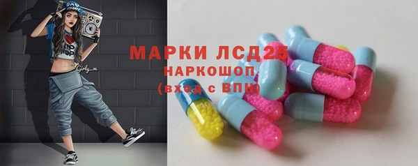 индика Абинск