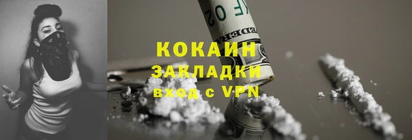 гашик Пестово