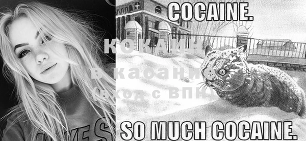 COCAINE Переславль-Залесский