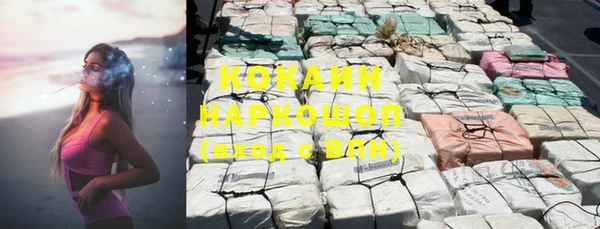 индика Абинск