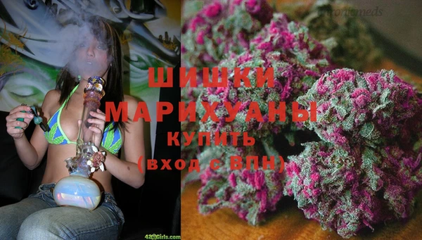 марки nbome Заводоуковск