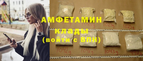 гашик Пестово