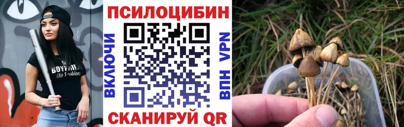 как найти закладки Мосальск Галлюциногенные грибы Psilocybine cubensis